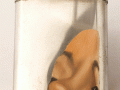 2002, χωρίς τίτλο, λάδι σε μέταλλο, 10x8x2,5cm